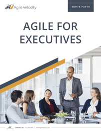 2020 Agile for Executives